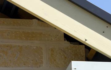 soffit repair Brand End